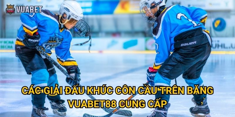 Các giải đấu khúc côn cầu trên băng Vuabet88 cung cấp