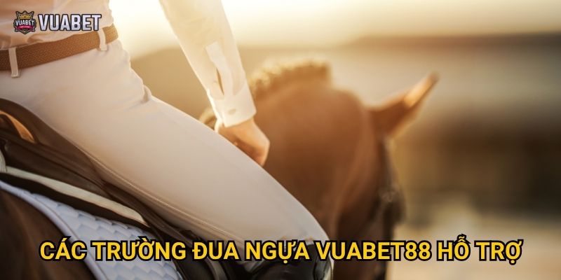 Cược đua ngựa tại Vuabet88 có uy tín và minh bạch không?