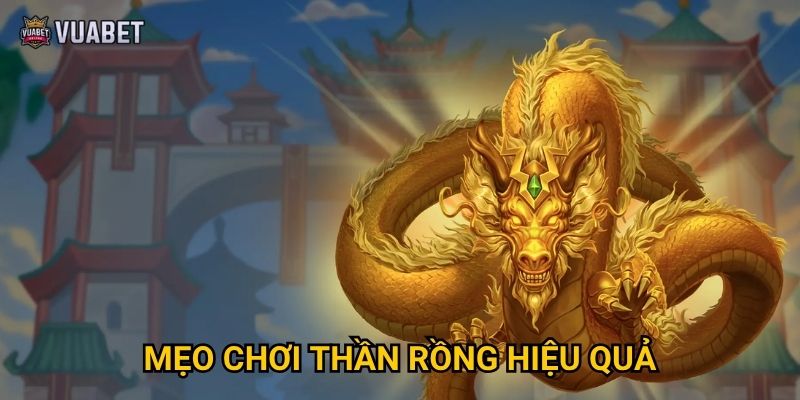 Mẹo chơi Thần Rồng hiệu quả
